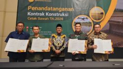 Cetak sawah