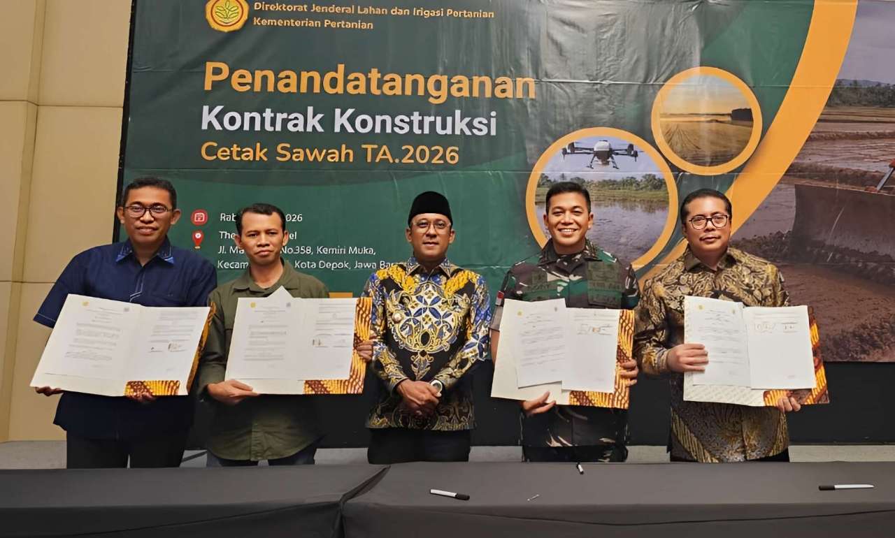 Cetak sawah