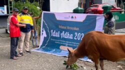 BKP-BTR Salurkan Hewan Kurban ke Wetar, Tiakur, dan Ambon, Perkuat Harmoni dengan Masyarakat